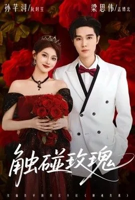 触碰玫瑰（凌晨四点半，玫瑰花未眠）